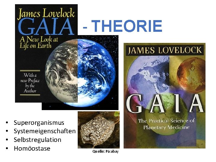- THEORIE • • Superorganismus Systemeigenschaften Selbstregulation Homöostase Quelle: Pixabay 