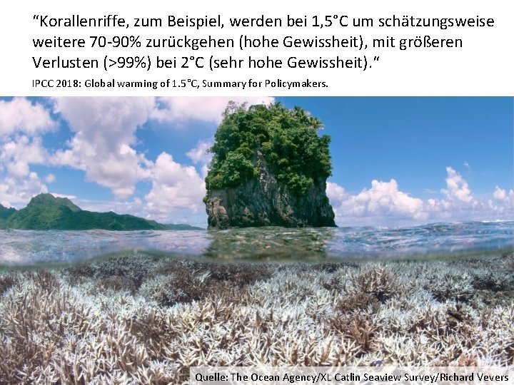 “Korallenriffe, zum Beispiel, werden bei 1, 5°C um schätzungsweise weitere 70 -90% zurückgehen (hohe