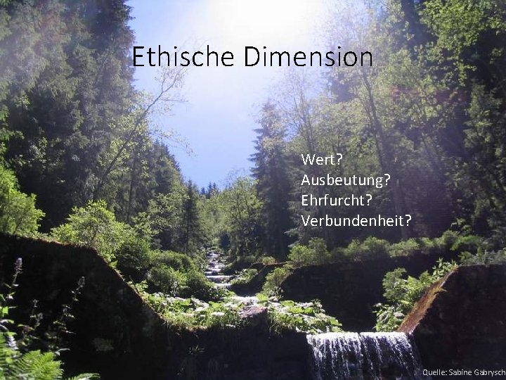 Ethische Dimension Wert? Ausbeutung? Ehrfurcht? Verbundenheit? Quelle: Sabine Gabrysch 