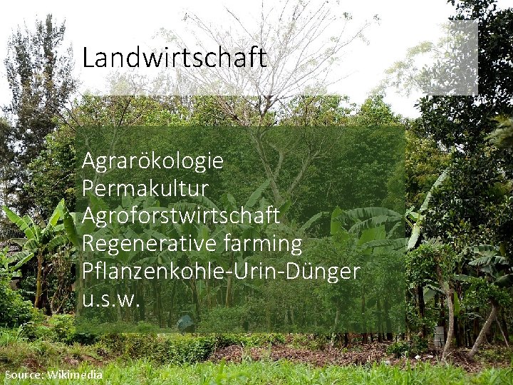 Landwirtschaft Agrarökologie Permakultur Agroforstwirtschaft Regenerative farming Pflanzenkohle-Urin-Dünger u. s. w. Source: Wikimedia 