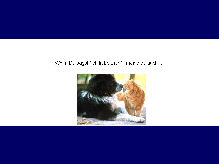Wenn Du sagst “Ich liebe Dich” , meine es auch…. 