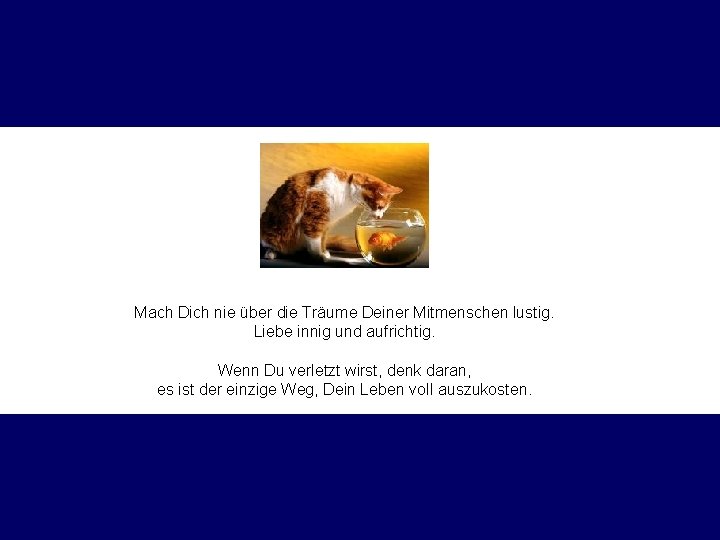 Mach Dich nie über die Träume Deiner Mitmenschen lustig. Liebe innig und aufrichtig. Wenn