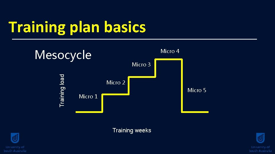 Training plan basics Training load Mesocycle Micro 4 Micro 3 Micro 2 Micro 5