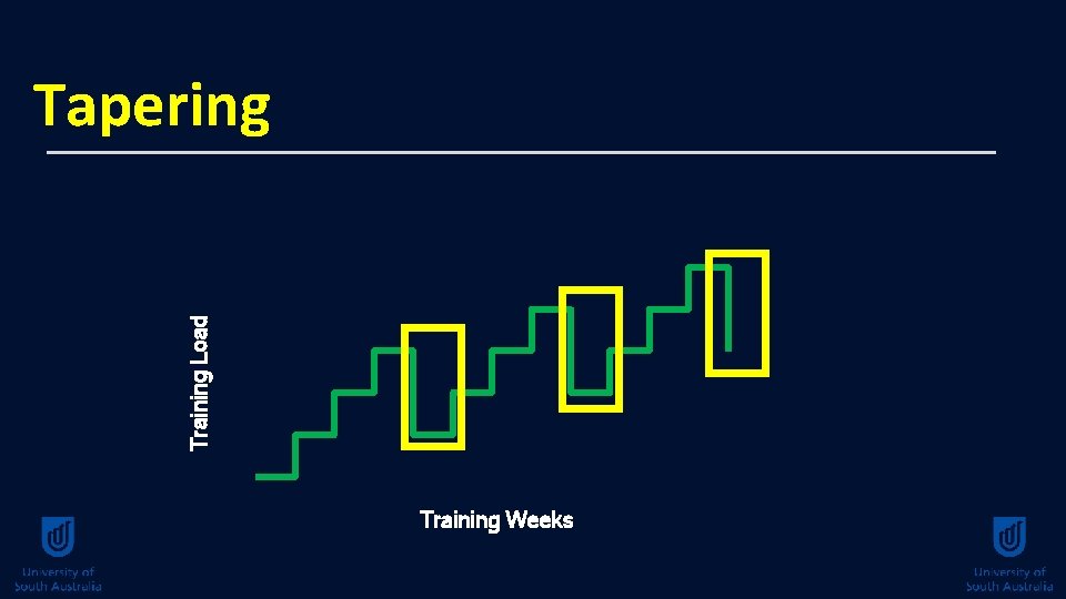 Training Load Tapering Training Weeks 