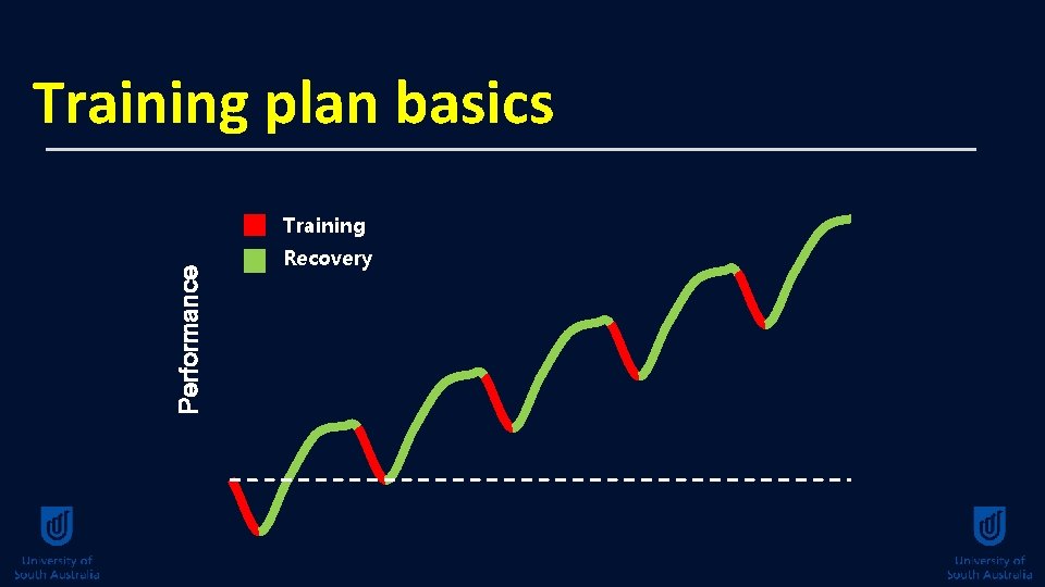 Training plan basics Performance Training Recovery 