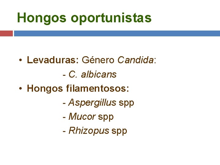 Hongos oportunistas • Levaduras: Género Candida: - C. albicans • Hongos filamentosos: - Aspergillus