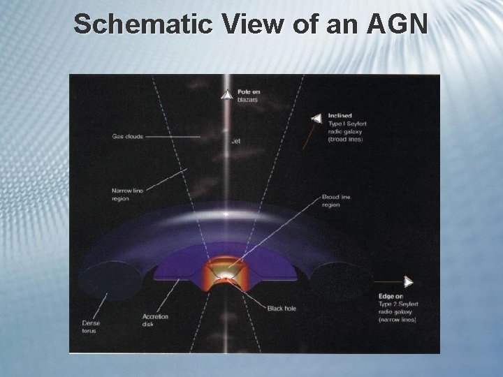 Schematic View of an AGN 