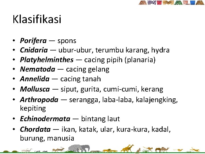 Klasifikasi Porifera — spons Cnidaria — ubur-ubur, terumbu karang, hydra Platyhelminthes — cacing pipih