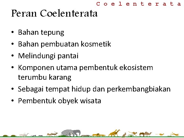 C o e l e n t e r a t a Peran Coelenterata