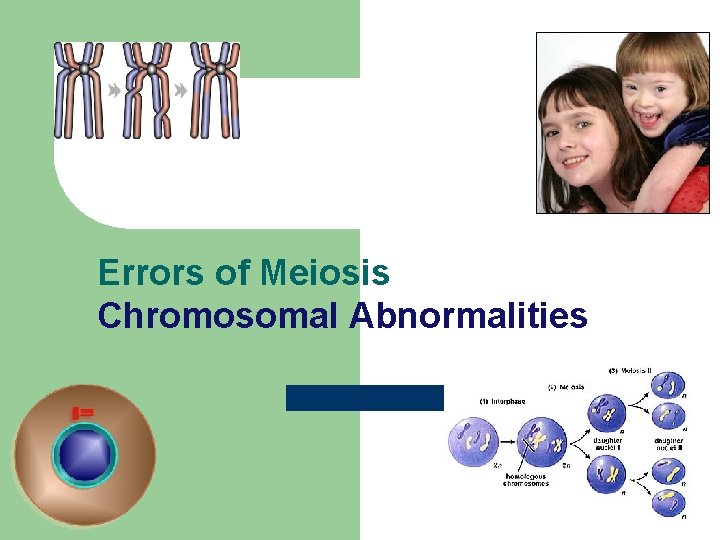 Errors of Meiosis Chromosomal Abnormalities 2006 -2007 