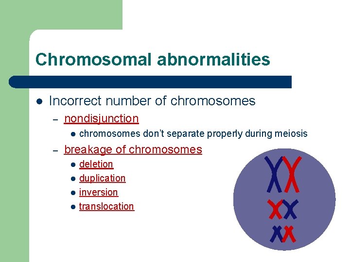 Chromosomal abnormalities l Incorrect number of chromosomes – nondisjunction l – chromosomes don’t separate