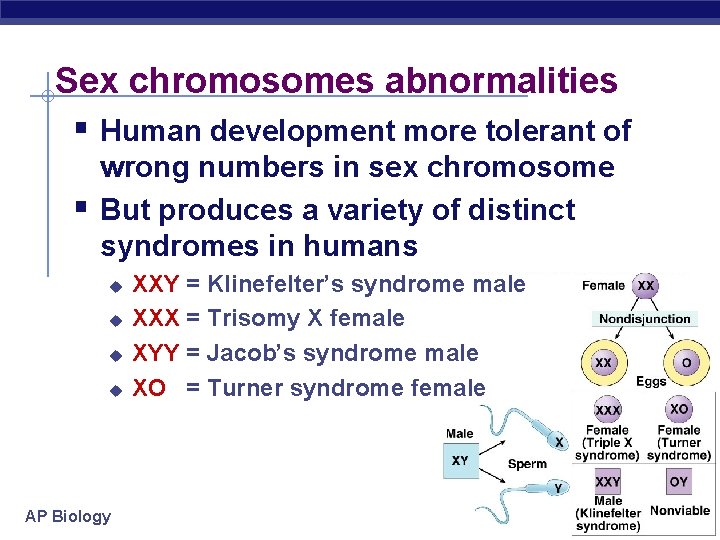 Sex chromosomes abnormalities § Human development more tolerant of § wrong numbers in sex