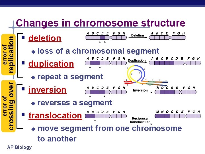 replication error of Changes in chromosome structure § deletion u § duplication crossing over