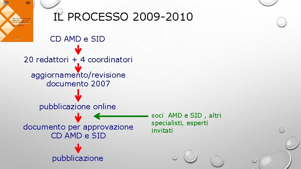 IL PROCESSO 2009 -2010 CD AMD e SID 20 redattori + 4 coordinatori aggiornamento/revisione