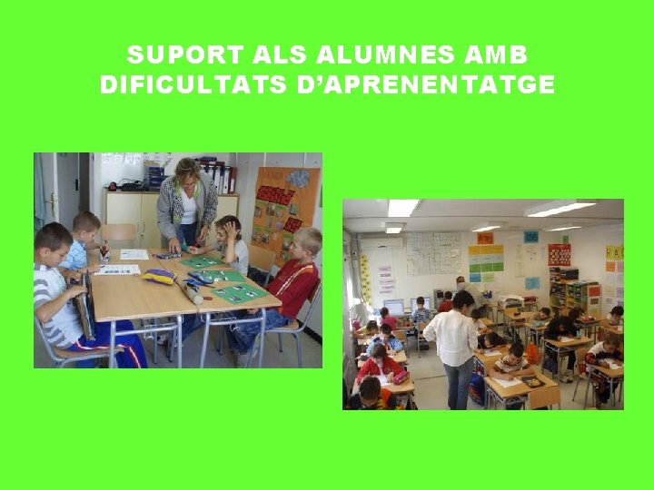 SUPORT ALS ALUMNES AMB DIFICULTATS D’APRENENTATGE 