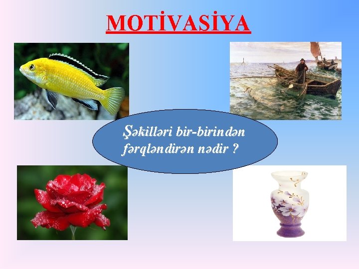 MOTİVASİYA Şəkilləri bir-birindən fərqləndirən nədir ? 