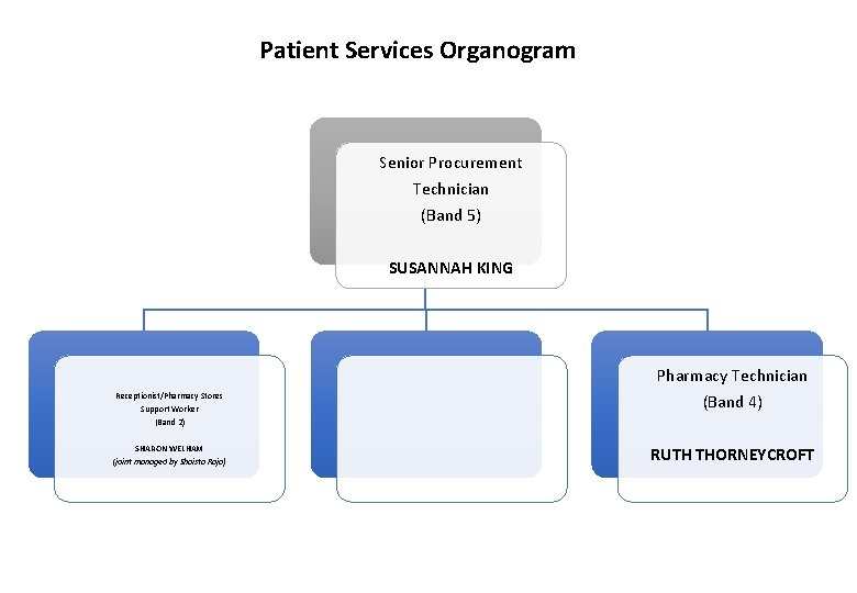 Patient Services Organogram Senior Procurement Technician (Band 5) SUSANNAH KING Receptionist/Pharmacy Stores Support Worker