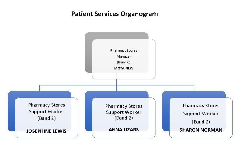 Patient Services Organogram Pharmacy Stores Manager (Band 6) MOYA NEW Pharmacy Stores Support Worker