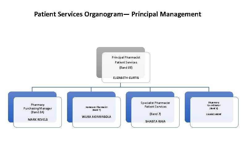 Patient Services Organogram— Principal Management Principal Pharmacist Patient Services (Band 8 B) ELIZABETH CURTIS