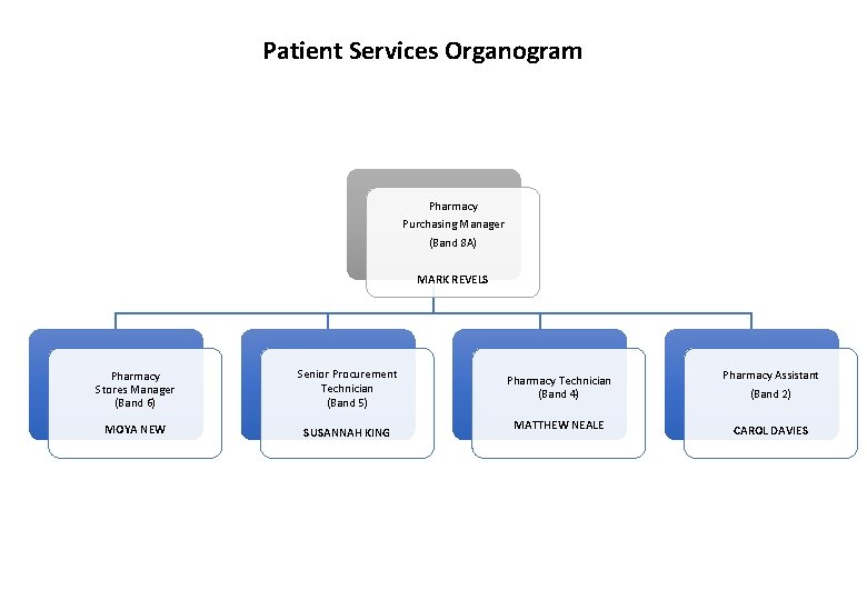 Patient Services Organogram Pharmacy Purchasing Manager (Band 8 A) MARK REVELS Pharmacy Stores Manager