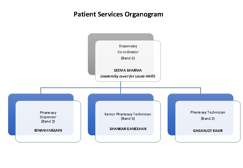 Patient Services Organogram Dispensary Co-ordinator (Band 6) SEEMA SHARMA (maternity cover for Laura Atrill)