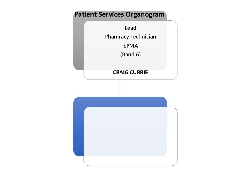 Patient Services Organogram Lead Pharmacy Technician EPMA (Band 6) CRAIG CURRIE 