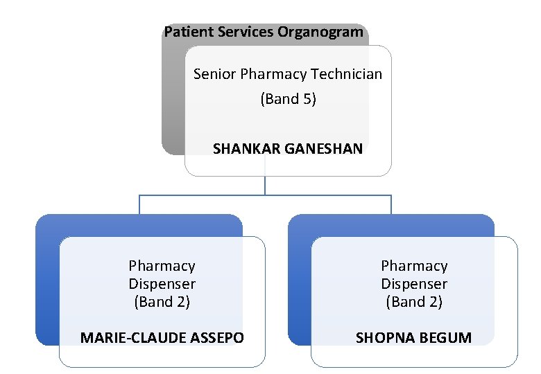 Patient Services Organogram Senior Pharmacy Technician (Band 5) SHANKAR GANESHAN Pharmacy Dispenser (Band 2)