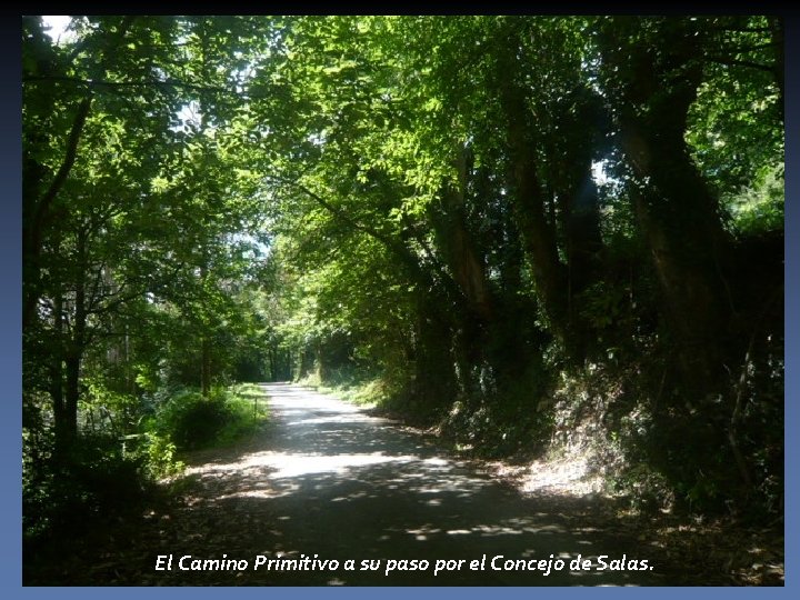El Camino Primitivo a su paso por el Concejo de Salas. 