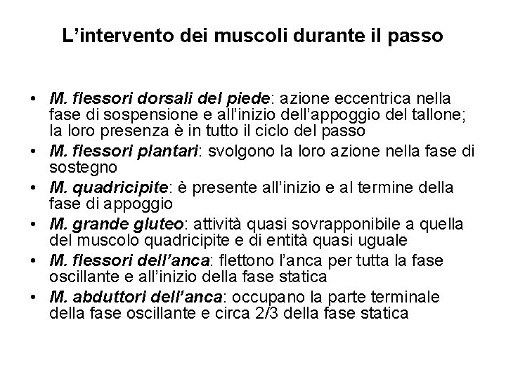 L’intervento dei muscoli durante il passo • M. flessori dorsali del piede: azione eccentrica