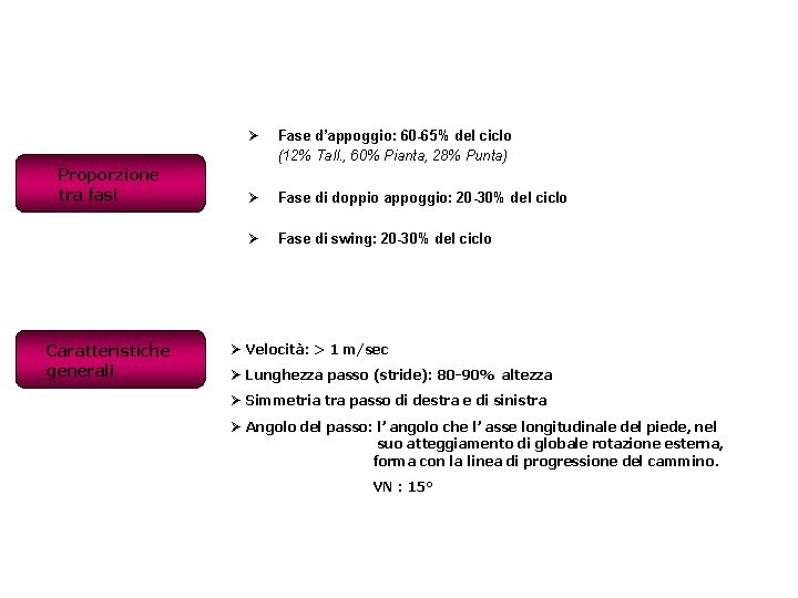 Proporzione tra fasi Caratteristiche generali Ø Fase d’appoggio: 60 -65% del ciclo (12% Tall.