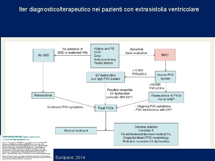 Iter diagnostico/terapeutico nei pazienti con extrasistolia ventricolare Europace, 2014 