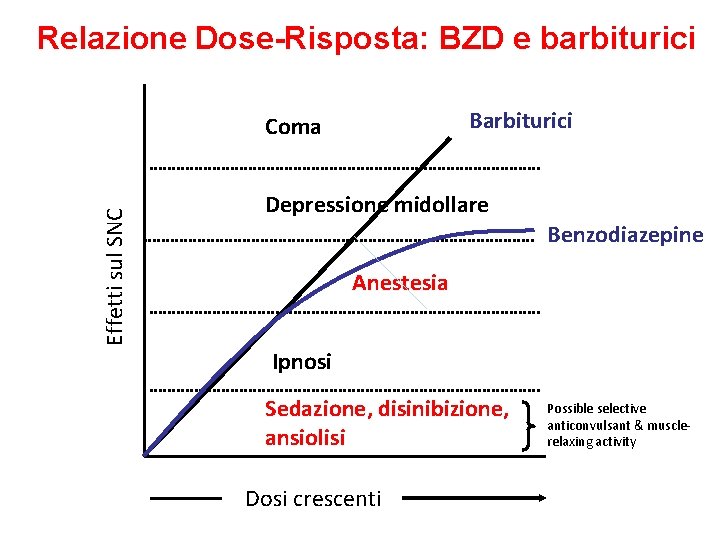 Relazione Dose-Risposta: BZD e barbiturici Barbiturici Effetti sul SNC Coma Depressione midollare Benzodiazepine Anestesia