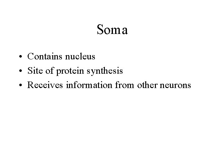 Soma • Contains nucleus • Site of protein synthesis • Receives information from other
