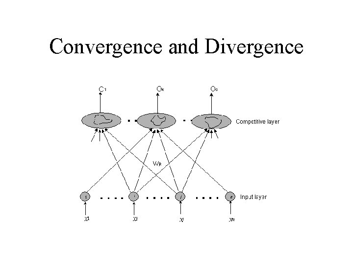 Convergence and Divergence 