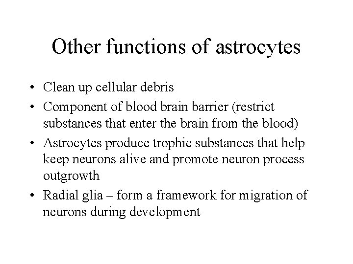 Other functions of astrocytes • Clean up cellular debris • Component of blood brain