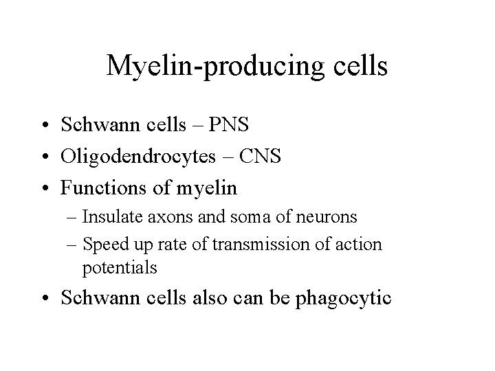 Myelin-producing cells • Schwann cells – PNS • Oligodendrocytes – CNS • Functions of