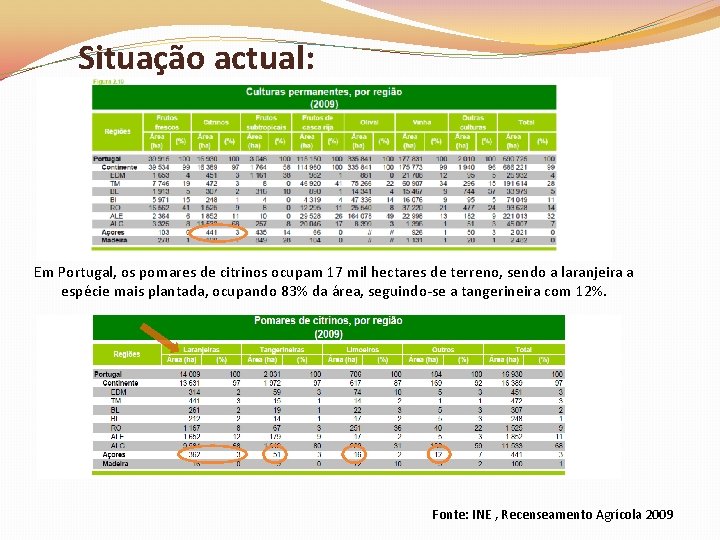 Situação actual: Em Portugal, os pomares de citrinos ocupam 17 mil hectares de terreno,