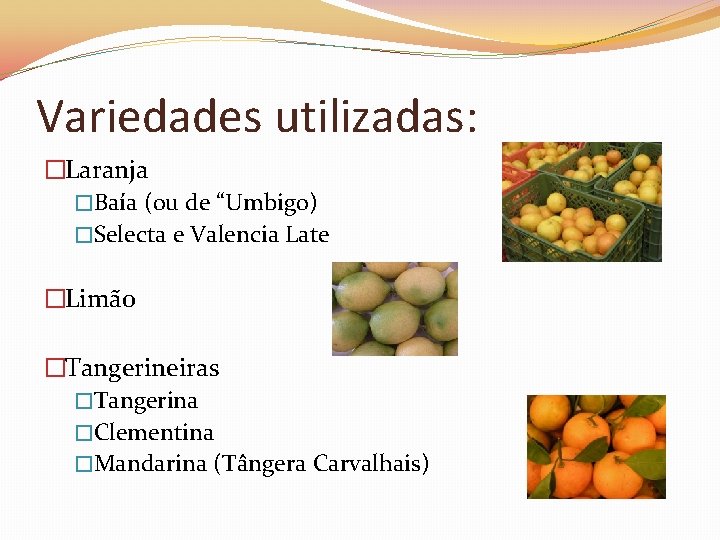 Variedades utilizadas: �Laranja �Baía (ou de “Umbigo) �Selecta e Valencia Late �Limão �Tangerineiras �Tangerina