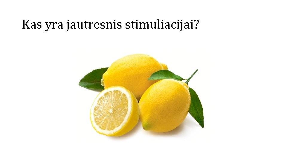 Kas yra jautresnis stimuliacijai? 