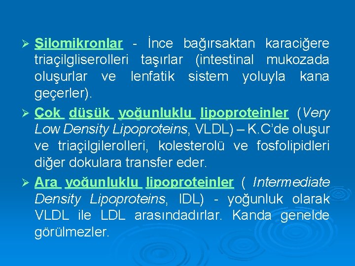 Şilomikronlar - İnce bağırsaktan karaciğere triaçilgliserolleri taşırlar (intestinal mukozada oluşurlar ve lenfatik sistem yoluyla