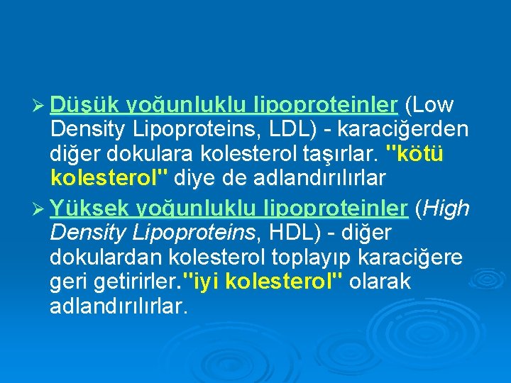Ø Düşük yoğunluklu lipoproteinler (Low Density Lipoproteins, LDL) - karaciğerden diğer dokulara kolesterol taşırlar.