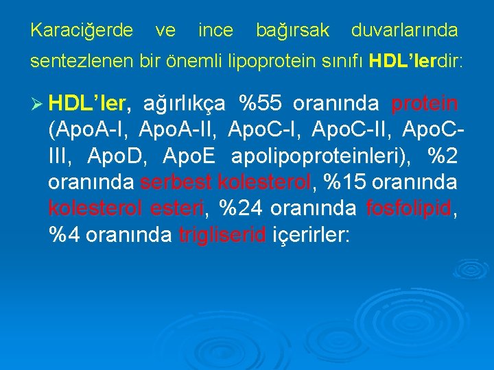 Karaciğerde ve ince bağırsak duvarlarında sentezlenen bir önemli lipoprotein sınıfı HDL’lerdir: Ø HDL’ler, ağırlıkça