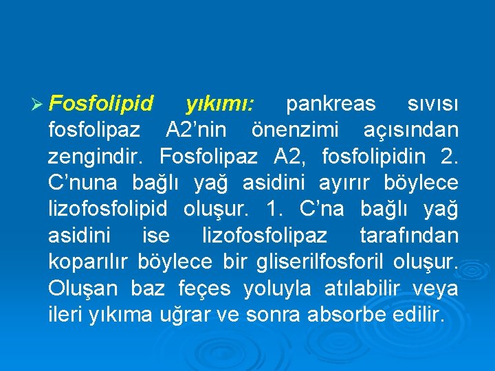 Ø Fosfolipid yıkımı: pankreas sıvısı fosfolipaz A 2’nin önenzimi açısından zengindir. Fosfolipaz A 2,