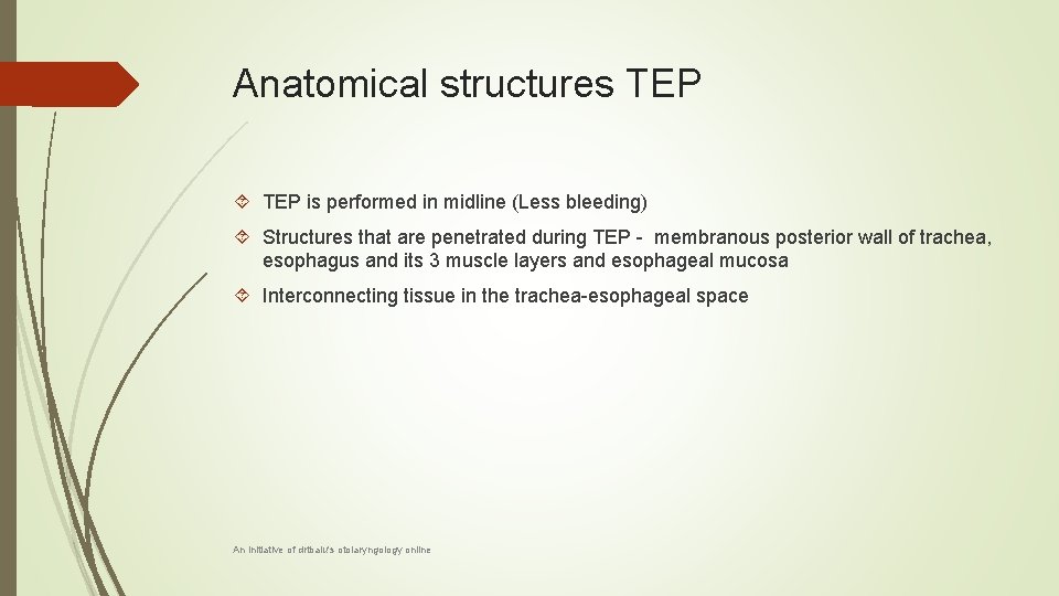 Anatomical structures TEP is performed in midline (Less bleeding) Structures that are penetrated during