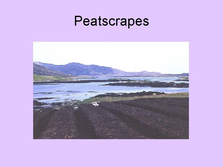 Peatscrapes Peatscrapes