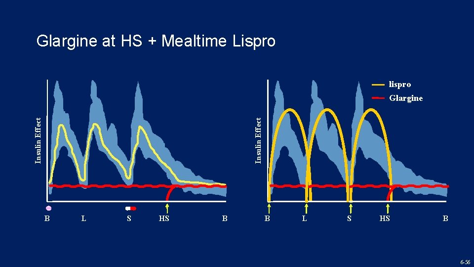 Glargine at HS + Mealtime Lispro lispro Insulin Effect Glargine B L S HS