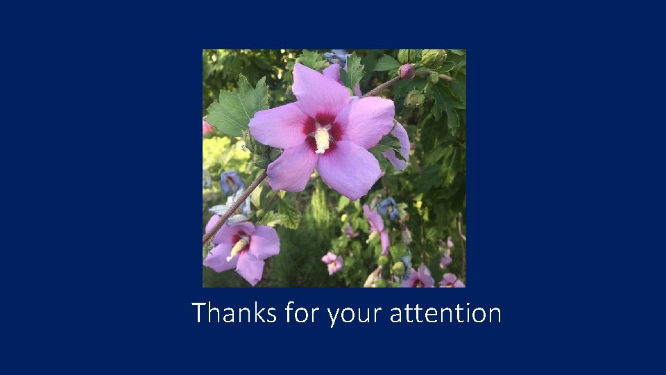 Thanks for your attention 