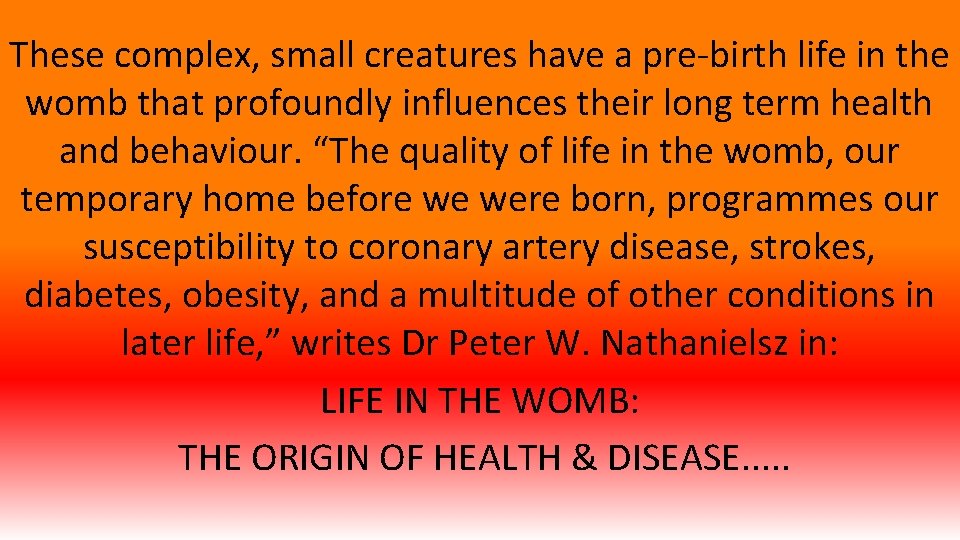 These complex, small creatures have a pre-birth life in the womb that profoundly influences