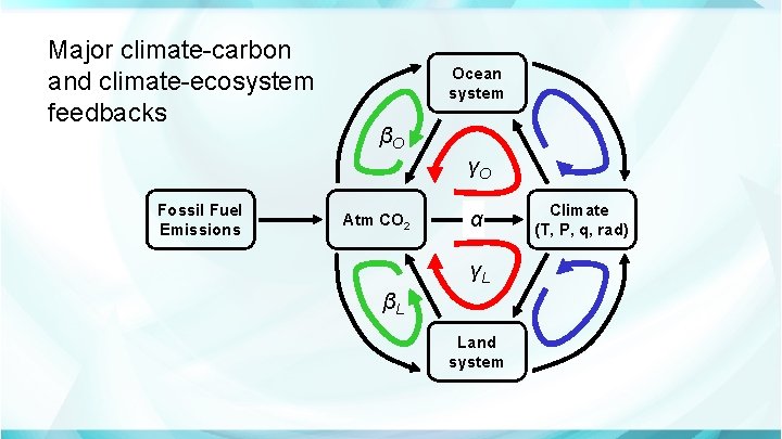 Major climate-carbon and climate-ecosystem feedbacks Ocean system βO γO Fossil Fuel Emissions Atm CO