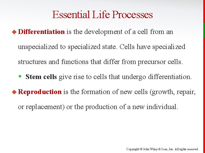 Essential Life Processes u Differentiation is the development of a cell from an unspecialized